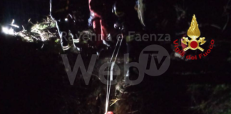 Cane precipita in una grotta: salvato dai Vigili del Fuoco | VIDEO