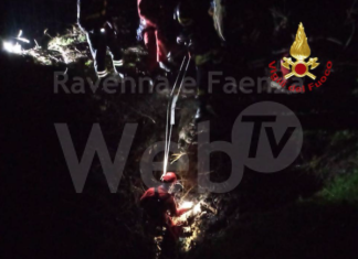 Cane precipita in una grotta: salvato dai Vigili del Fuoco | VIDEO