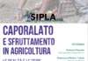 Il caporalato in Romagna: quali volti e quali azioni. Incontro al Cinema Europa