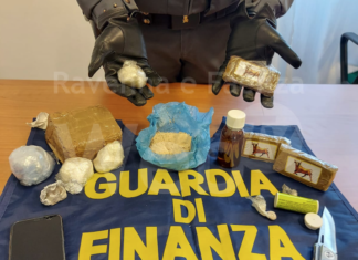 Sorpreso nella pineta di Tagliata con oltre mezzo chilo di droga