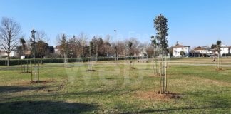 Lugo: Nuove piantumazioni di alberi per una città più verde