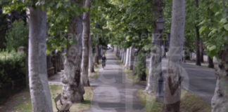 Aggredì una ragazza in viale dello Stradone, spogliandola: confermata la condanna