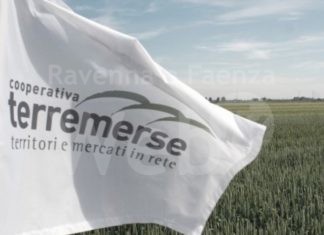 Terremerse si espande in Piemonte. In provincia di Cuneo un nuovo Punto Vendita agroforniture