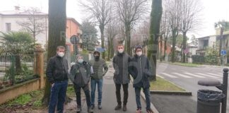 Intervento straordinario di potatura dei viali a Castel Bolognese