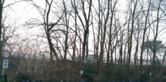 Ottimo successo della raccolta a Lido di Dante, si prosegue domenica a Lido di Classe: Puliamo il Lido… prima del nido!