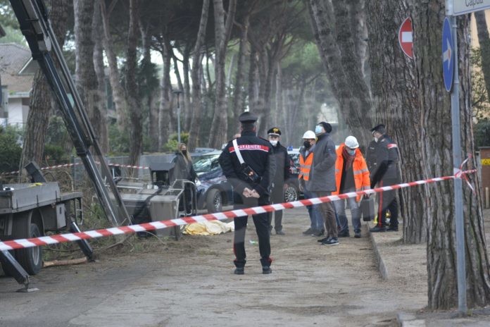 319f6e8e-c341-43fe-a52b-daef1836f8e1