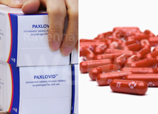 La pillola anticovid: Al via le somministrazioni di Paxlovid. Già 1.225 le confezioni consegnate