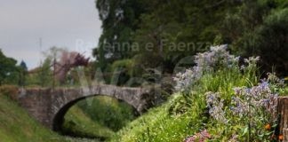 Conselice: in arrivo sette nuove opere di land art per valorizzare le aree naturalistiche