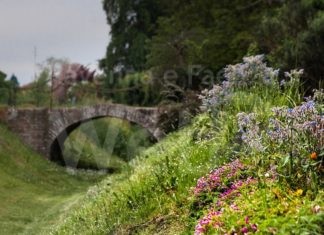 Conselice: in arrivo sette nuove opere di land art per valorizzare le aree naturalistiche