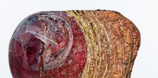 Ravenna: “Luminosità misteriosa” in mostra da sabato 12 marzo a sabato 2 aprile 2022