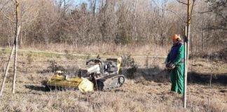 Lugo: All’Oasi del Loto lavori di manutenzione per il contenimento della vegetazione e per favorire l’habitat degli insetti utili e di altri animali