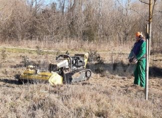 Lugo: All’Oasi del Loto lavori di manutenzione per il contenimento della vegetazione e per favorire l’habitat degli insetti utili e di altri animali