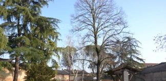 Bagnacavallo: Letture al Parco delle Cappuccine per il compleanno del Monumento al cadere