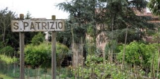 Conselice: si cercano nuovi gestori per l’unico negozio di alimentari di San Patrizio