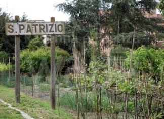 Conselice: si cercano nuovi gestori per l’unico negozio di alimentari di San Patrizio