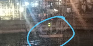 Ancisi (LpRa): Flotta devastante di vongolari abusivi invade anche il porto canale | VIDEO