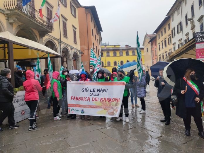 WhatsApp Image 2022-02-05 at 11.46.17(1)