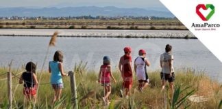 AmaParco, una stagione di formazione tra teatro, arte e poesia