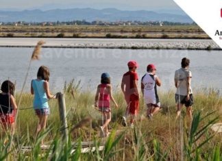 AmaParco, una stagione di formazione tra teatro, arte e poesia