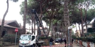 Ultima Ora: Tragedia sul lavoro a Cervia, muore un uomo di 44 anni | FOTO
