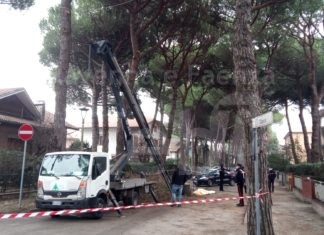 Ultima Ora: Tragedia sul lavoro a Cervia, muore un uomo di 44 anni | FOTO