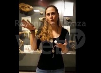 Talks Gioia di Ber: al Mic Carlotta Trevisanello racconta la produzione del vino in epoca etrusca