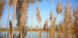 Concorso “Acqua & Territorio” per le scuole