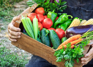 Biologico, boom di richieste di contributi per coltivazioni, misure agro ambientali e biodiversità