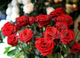 Ravenna, a San Valentino dillo con un fiore, con una ‘love box’ contadina o con un’esperienza in agriturismo