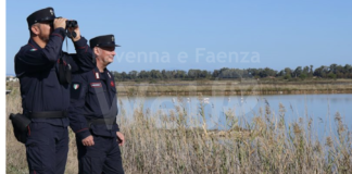 Operazione “Delta del Po”: 12 persone denunciate dalla Forestale
