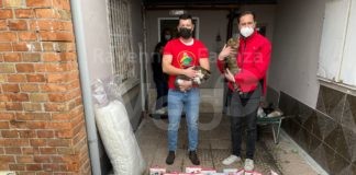 Importante donazione al gattile di via Trieste: alimenti e detergenti per aiutare il lavoro dei volontari | VIDEO