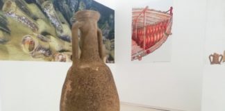 “Talks Gioia di Ber”: Anna Gamberini tiene la conferenza “Dalla vigna alla mensa: la produzione e il commercio del vino nel mondo romano”