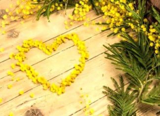 Brisighella: Mostra collettiva “Fuori dall’ombra. Care donne, ripartiamo da noi”. Ecco tutti gli eventi