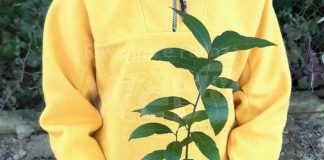 Lugo: Nel nome degli alberi, un appuntamento per dare nuova vita a molte giovani piante