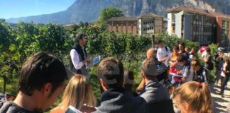 ParteciPAC: un ciclo di incontri, organizzato da Image Line e rivolto ai giovani agricoltori