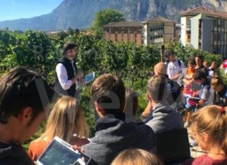 ParteciPAC: un ciclo di incontri, organizzato da Image Line e rivolto ai giovani agricoltori