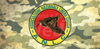 Libera Caccia Ravenna: Smettiamo di stare in panchina