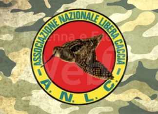 Libera Caccia Ravenna: Smettiamo di stare in panchina