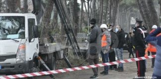 Aveva 44 anni l’operaio morto a Cervia mentre potava gli alberi | VIDEO