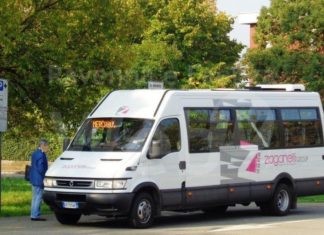 Mercabus, il servizio del Comune di Lugo per arrivare comodamente al mercato del mercoledì