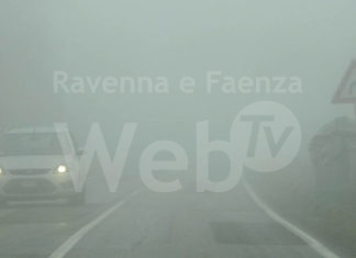 Oggi nebbia fitta nel ravennate, ecco alcuni consigli utili per chi guida