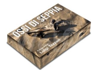 Arriva il libro “Gli Ossi di seppia” di Luigi Tazzari