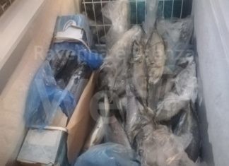 Faenza, ispezione in un bar: sequestrati chili di carne e pesce