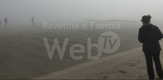 Territori Comuni: arte, fotografia, letteratura e teatro per parlare di diritti, comunità, accoglienza e natura | VIDEO