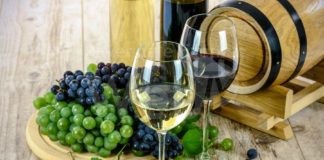 Vino: Prandini (Coldiretti), Parlamento UE salva 10 mila anni di storia e un settore chiave per l’economia ravennate