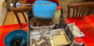 Alimenti scaduti da oltre un anno sequestrati oltre 20 kg di cibo