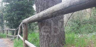 Inizia oggi l’intervento di posa guard rail in via S. Corbari a Modigliana