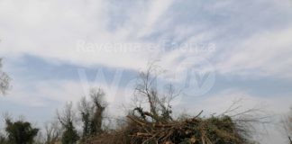 Italia Nostra: Gravemente manomesso l’antico podere Baruzzi a Mezzano