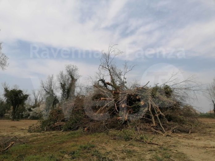 2022_03_27_podere Baruzzi_Mezzano RA_1