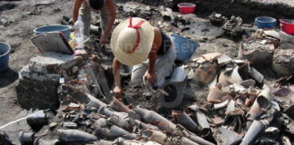Sguardi dal passato: dal 30 marzo al 1° maggio a palazzo Rasponi una mostra sulle attività di archeologia a Ravenna